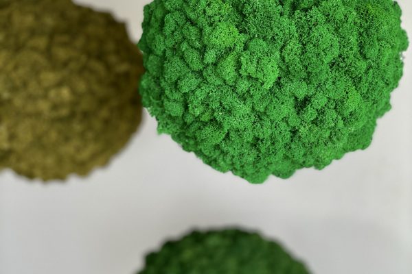 Spheres 1