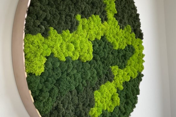 E3B31271-4E9E-4A32-B14A-615467DD6EBB_1_105_c.jpeg