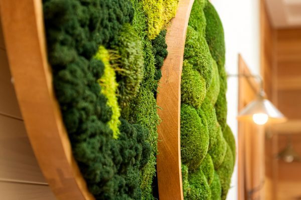 Moss Art Piece-10
