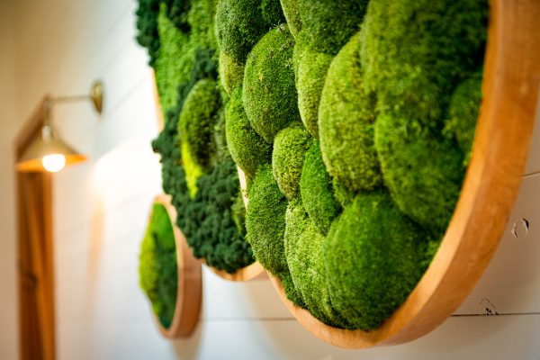 Moss Art Piece-7