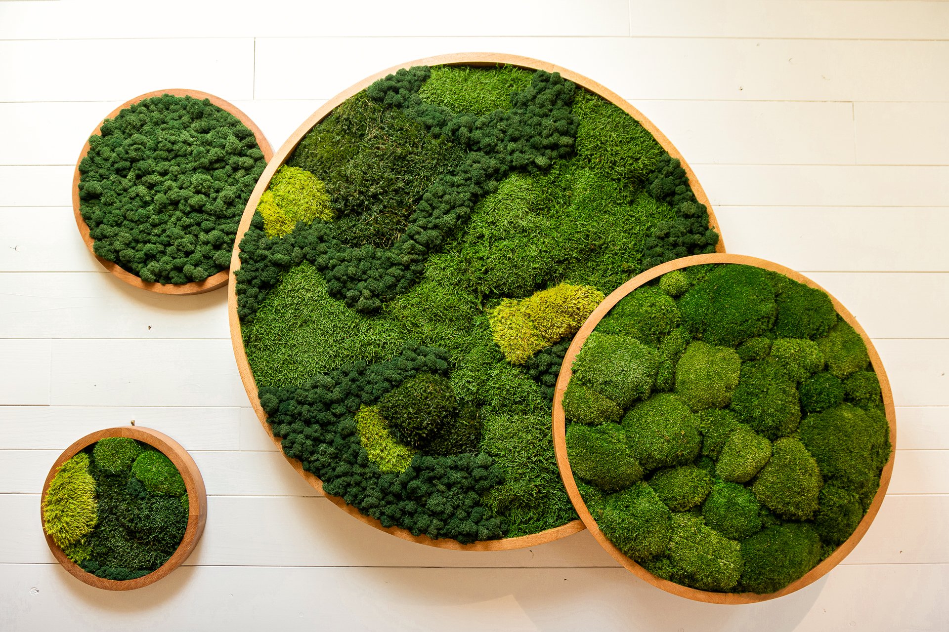 Handcrafted Preserved Moss Art piece