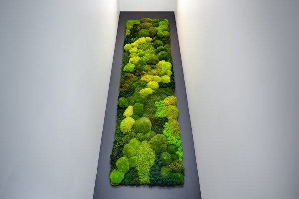 Trail of Ideas