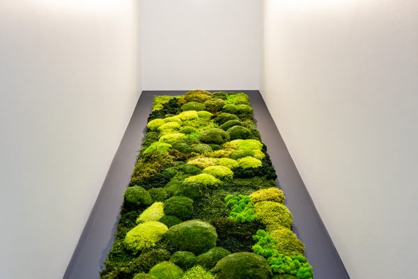 Trail of Ideas