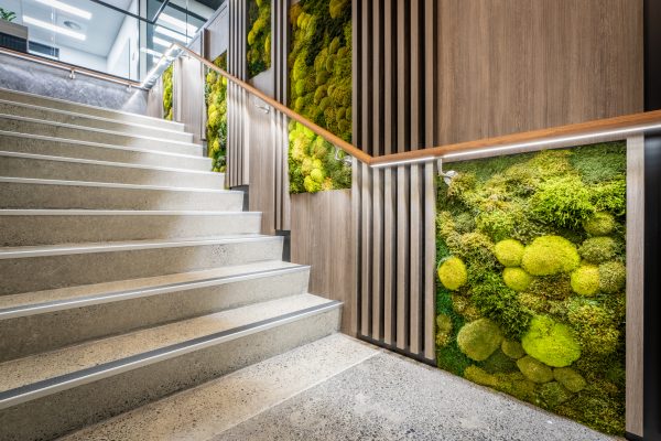 Combined moss1