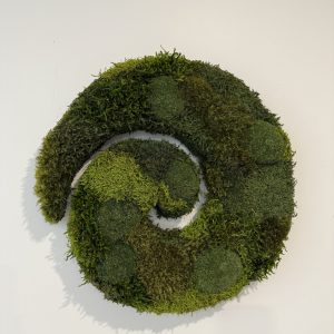 Rimu Koru